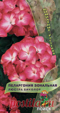 Семена 