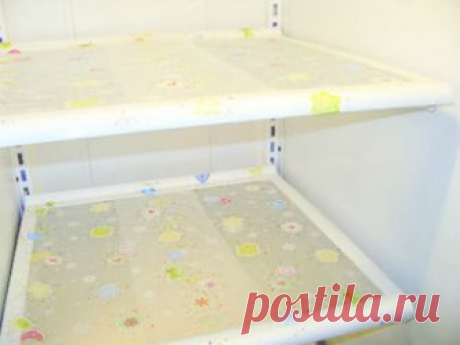 15 практичных способов использования пищевой пленки, о которых многие даже не догадываются