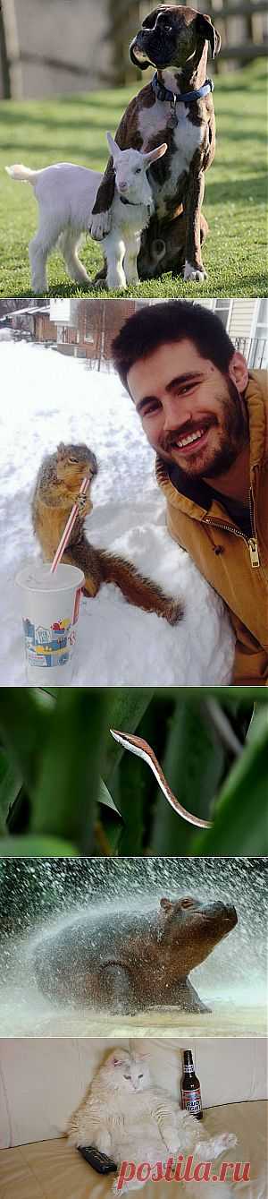 Больше, чем фото