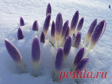 (25) Одноклассники
