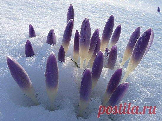 (25) Одноклассники