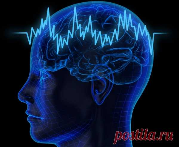 10 простых советов, как быстро развить память.