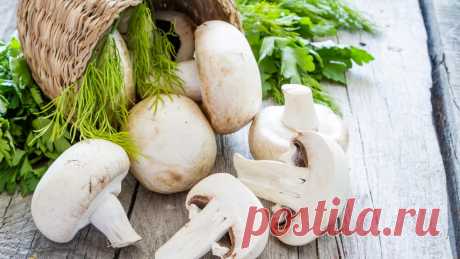Этот продукт поможет стать умнее и сохранит здоровье сердца.
Шампиньоны позволяют привести в норму липидный обмен, они способствуют снижению уровня холестерина в крови. Это снижает риск развития болезней сердца и сосудов.

Ещё эти грибы помогают лучше думать. Благодаря калию в составе продукт улучшает приток крови к мозгу, что положительно сказывается на когнитивных способностях.

Больше интересных статьей у нас на телеграм канале.

#шампиньон #здоровье #здоровьесердца