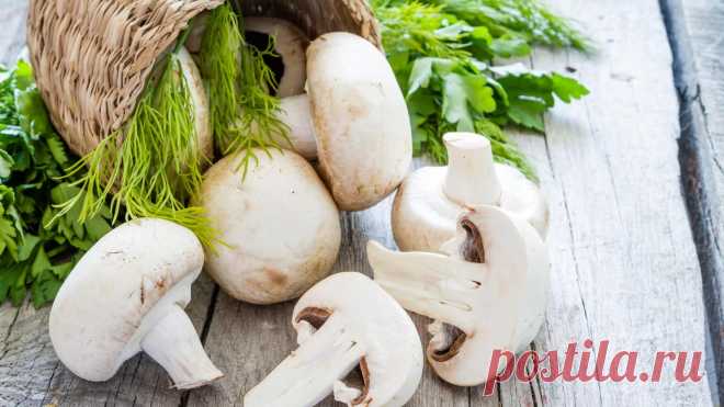 Этот продукт поможет стать умнее и сохранит здоровье сердца.
Шампиньоны позволяют привести в норму липидный обмен, они способствуют снижению уровня холестерина в крови. Это снижает риск развития болезней сердца и сосудов.

Ещё эти грибы помогают лучше думать. Благодаря калию в составе продукт улучшает приток крови к мозгу, что положительно сказывается на когнитивных способностях.

Больше интересных статьей у нас на телеграм канале.

#шампиньон #здоровье #здоровьесердца