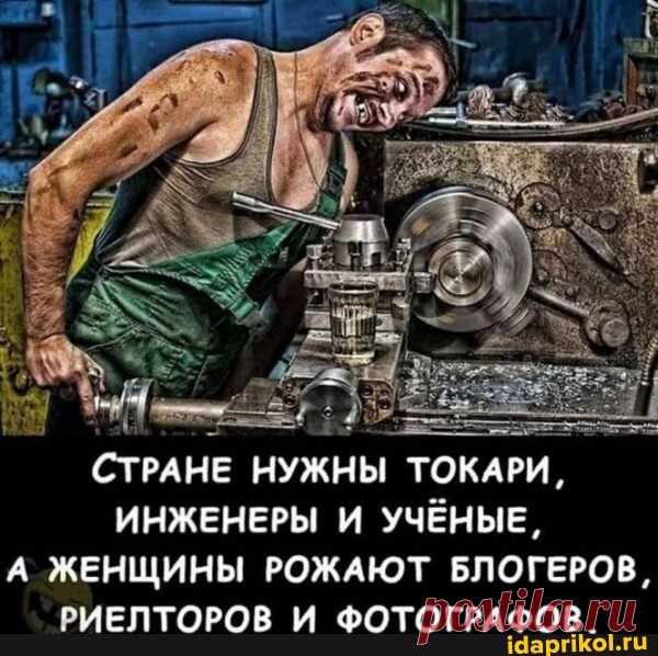 СТРАНЕ НУЖНЫ ТОКАРИ, ИНЖЕНЕРЫ И УЧЁНЫЕ, А ЖЕНЩИНЫ РОЖАЮТ БЛОГЕРОВ, РИЕЛТОРОВ И ФОТОГРАФОВ. - АйДаПрикол