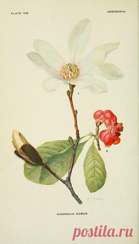 Найдено на сайте flickr.com.