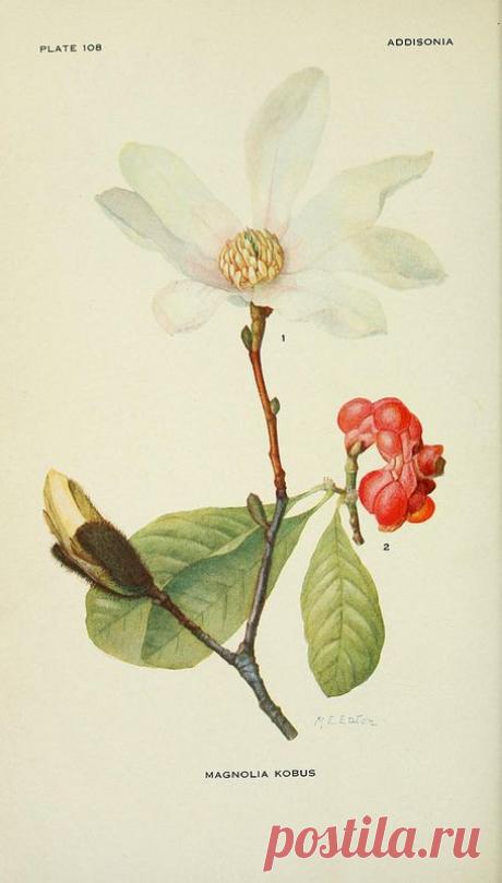 Найдено на сайте flickr.com.