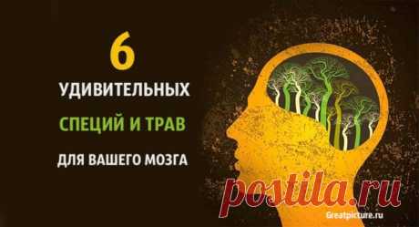 6 удивительных специй и трав для здоровье вашего мозга 6 удивительных специй и трав для здоровье вашего мозга.Многие люди очень заботятся о здоровье своего сердца и других внутренних органов. Но