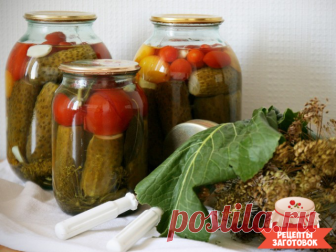 Маринованные огурцы с помидорами

Ингредиенты на 3 литра:
Огурцы – сколько уйдет
Помидоры – сколько уйдет
Лимонная кислота — 0,5 ч.л.
Соль – 70 гр
Сахар – 1,5 ст.л.
Лук репчатый — 2-3 шт
Чеснок – 3-4 зубчика
Перец сладкий – 2-3 шт
Листья вишни, смородины, дуба – 3-4 шт
Амарант (щирица) – 1 веточка
Лавровый лист — по вкусу
Перец горошком — по вкусу

Рецепт приготовления маринованных огурцов с помидорами:
Сперва на дно сухой пропаренной банки следует положить укроп, хрен, по...