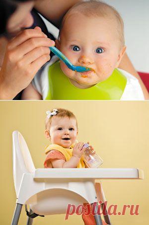 Схема введения прикорма ребенку. С чего начать прикорм грудничку? | Shape Mama