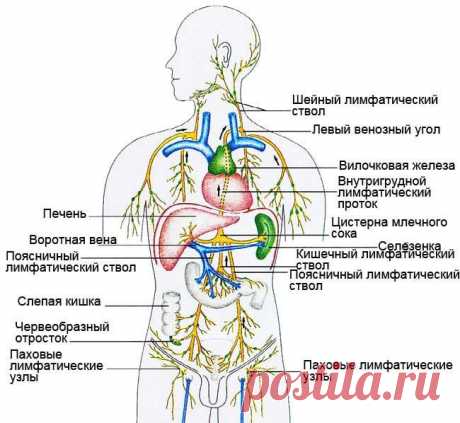 Очистка лимфатических узлов и протоков