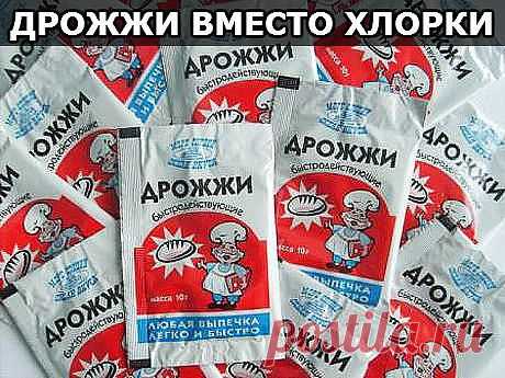 Дрожжи вместо хлорки