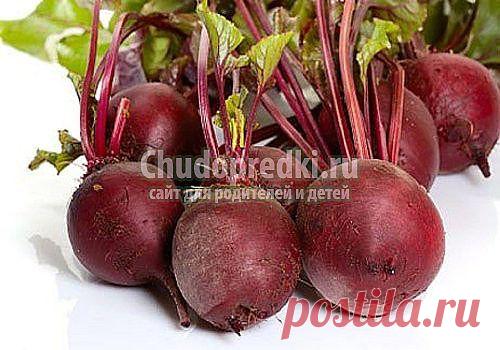 Салат из свеклы на зиму. Рецепты с интернета