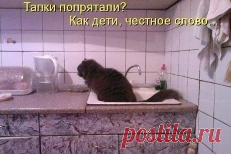 Лилия Советкина | ВКонтакте