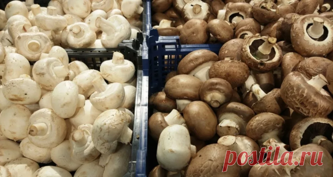 Шампиньон шампиньону рознь: какой из них самый вкусный
Заметил, что очень многие не любят шампиньоны. Считают их грибами «так себе», вернее — жалкой заменой настоящих лесных грибов. И есть в этом логика: мы привыкли к ярко выраженному грибному вкусу, у нас на подкорке записано — раз гриб, значит, должен иметь хороший грибной вкус! Поэтому любим белые, грузди, подосиновики с подберезовиками,...
Читай дальше на сайте. Жми подробнее ➡