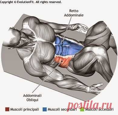 Одноклассники