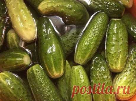 Самый вкусный рецепт соленых огурчиков, которым пользуюсь уже 20 лет!