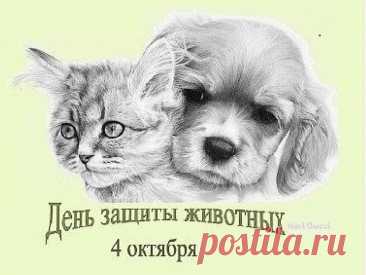 Животные нас делают добрей
И часто вызывают умиление,
И нет более преданных друзей,
Чем звери, что подверглись приручению. Открытки на День защиты животных.