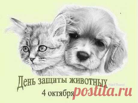 Животные нас делают добрей
И часто вызывают умиление,
И нет более преданных друзей,
Чем звери, что подверглись приручению. Открытки на День защиты животных.
