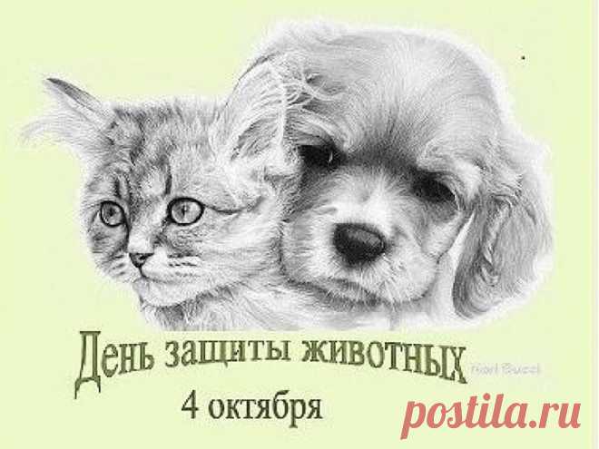 Животные нас делают добрей
И часто вызывают умиление,
И нет более преданных друзей,
Чем звери, что подверглись приручению. Открытки на День защиты животных.