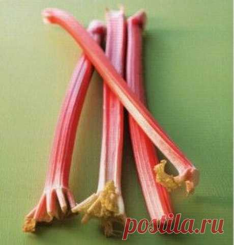 Блюда из ревеня