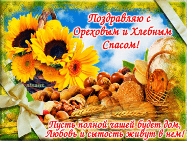 Сегодня большой праздник — Хлебный или же Ореховый спас. Уж посеяна озимая пшеница, а в лесах поспели орехи.