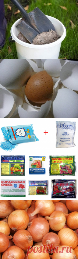 подкормка | Записи в рубрике подкормка | Дневник мадам_Гаукас