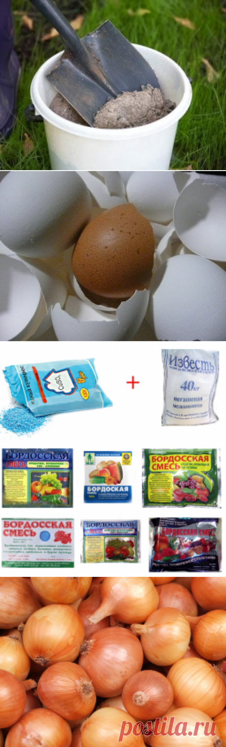 подкормка | Записи в рубрике подкормка | Дневник мадам_Гаукас