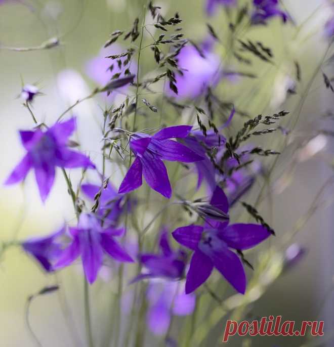 Oleg Pigilev — «IMG_7135a.jpg» на Яндекс.Фотках