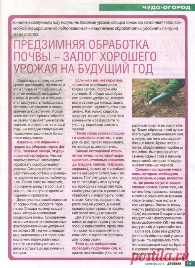 Предзимняя обработка почвы - залог хорошего урожая на будущий год