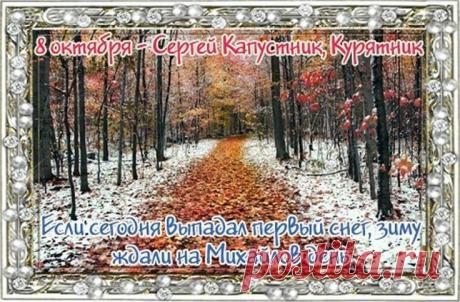 Желаю встречать каждый день с хорошим настроением и великолепным самочувствием. Пусть твое окружение будет мегапозитивным, любая мелочь — приятной, а возможности — безграничными! Открытки на День Сергея Капустника.