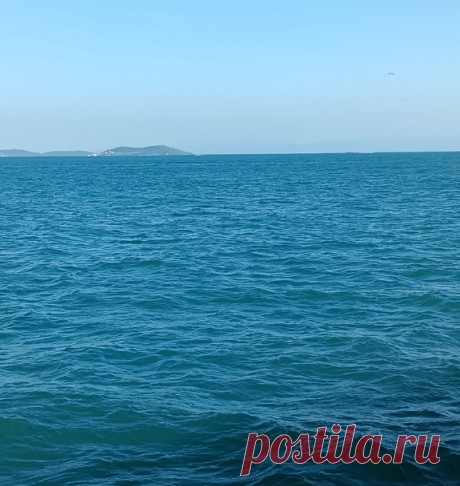 Новые схемы жаккардовых узоров - морская тематика | Мне интересно и мой жаккард | Дзен