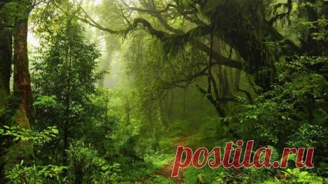 ЖЕРТВЕННЫЙ камень | Во тьме ночной | 
несколько лет назад мы с женой купили дом и с нами начали происходить удивительные вещи