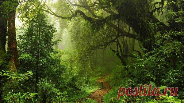 ЖЕРТВЕННЫЙ камень | Во тьме ночной | 
несколько лет назад мы с женой купили дом и с нами начали происходить удивительные вещи