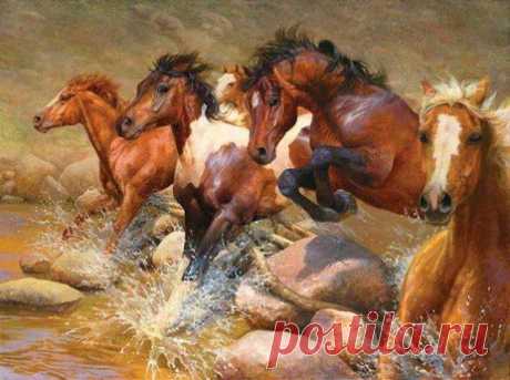 Horses ♥ – Сообщество – Google+
