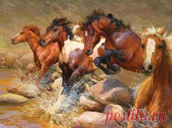 Horses ♥ – Сообщество – Google+