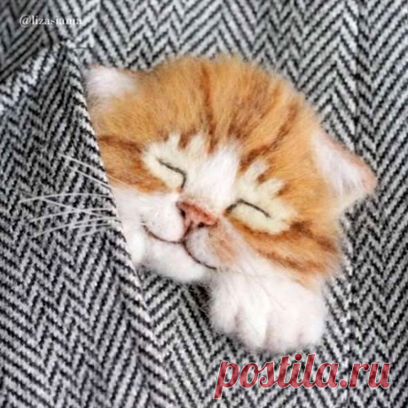 КОТИКИ-БРОШКИ для любителей вышивки и валяния, которые БЕЗ ума от пушистых ласковых комочков❤️ | БЫТЬ ВОЛШЕБНИКОМ ЛЕГКО | Дзен