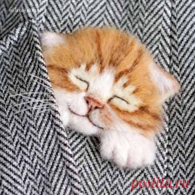КОТИКИ-БРОШКИ для любителей вышивки и валяния, которые БЕЗ ума от пушистых ласковых комочков❤️ | БЫТЬ ВОЛШЕБНИКОМ ЛЕГКО | Дзен