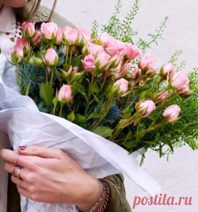 В жизни важно знать простые вещи -
Цель, мечту, свой кодекс чести :
На что готов пойти,а на что 