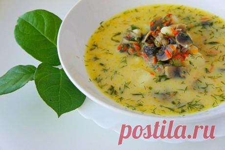 Грибной сливочный суп