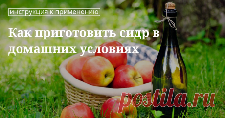 Рецепт сидра из яблок в домашних условиях Яблочный сидр в домашних условиях