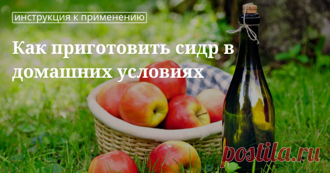 Рецепт сидра из яблок в домашних условиях Яблочный сидр в домашних условиях