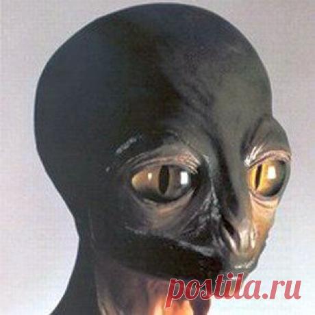 ГОВОРИТ КОСМОС!