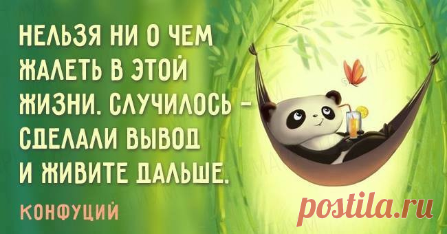 (80) Одноклассники