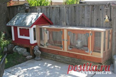 Секреты птичьего домика: чем накормишь, то и уберешь