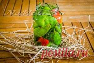 Рецепты закусок с фотографиями