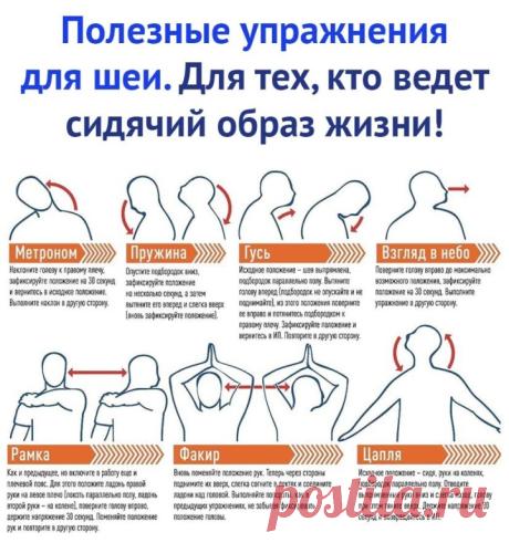 Невероятно, но Факт! (@best_fact) / Twitter