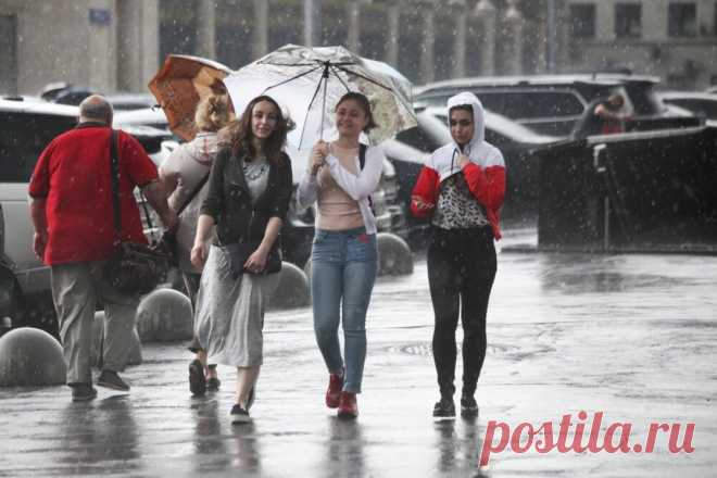 Дождливо и пасмурно. Какая погода будет на майские праздники в Москве?. По самым предварительным прогнозам, первые дни майских праздников в Москве и Подмосковье выдадутся пасмурными. Но будет вполне тепло.