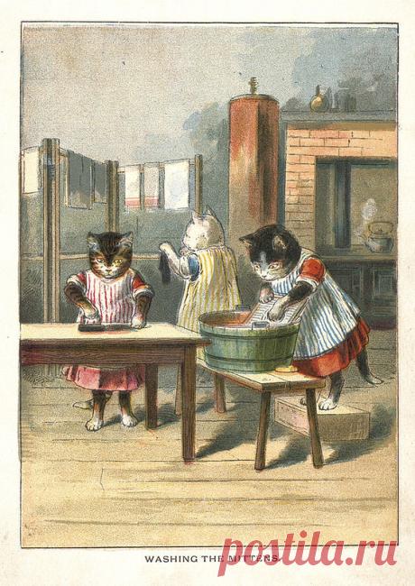 3 little kittens
