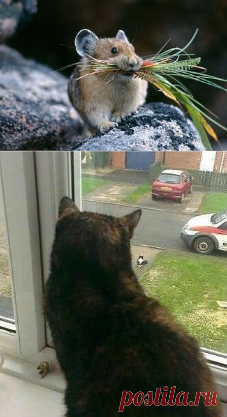 Группа: Шедевры фотографии